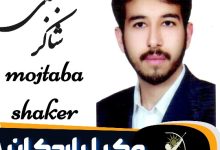 مجتبی شاکر وکیل اردکان