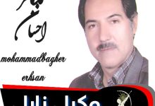 محمدباقر احسان وکیل زابل