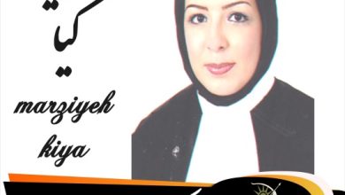 مرضیه کیا وکیل جنوب تهران