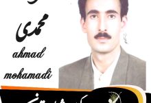 احمد محمدی وکیل شمال تهران