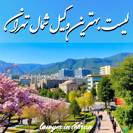 بهترین وکیل شمال تهران