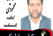 وحید محمودی وکیل رباط کریم