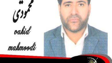 وحید محمودی وکیل رباط کریم