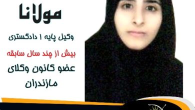 شقایق مولانا وکیل عباس آباد