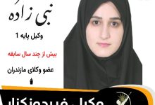طاهره نبی زاده