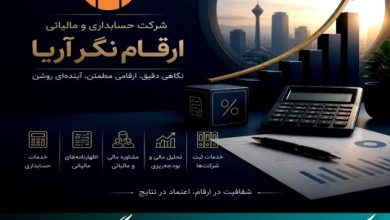 شرکت حسابداری ارقام نگر آریا