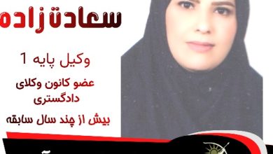 صدیقه سعادت زاده وکیل پارس آباد