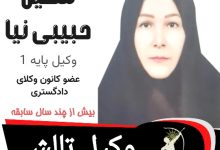 مهین حبیبی نیا وکیل تالش
