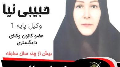 مهین حبیبی نیا وکیل تالش