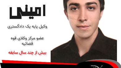 سعید امینی⚖️وکیل اصفهان