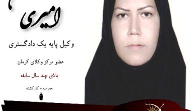 سوسن امیری وکیل کرمان
