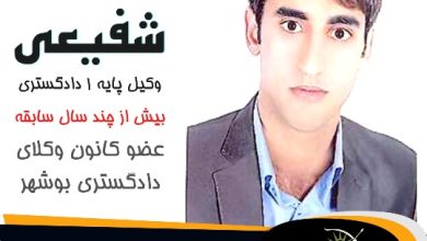 علی شفیعی وکیل گناوه