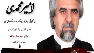 محمدرضا امیرمحمدی وکیل کرمان