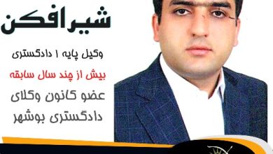 محمود شیرافکن وکیل گناوه