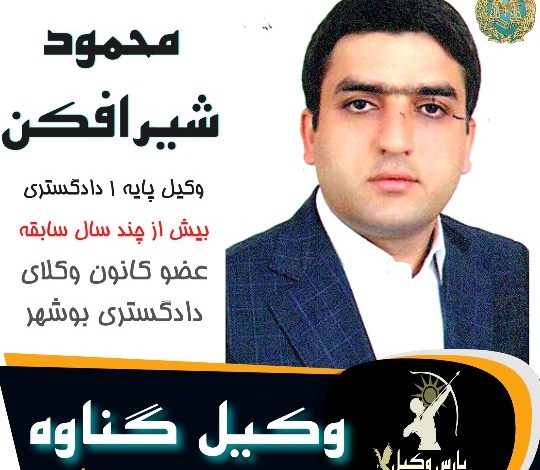 محمود شیرافکن وکیل گناوه