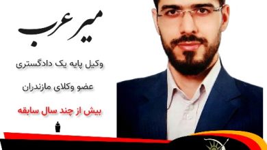 رضا میرعرب⚖️وکیل گلوگاه