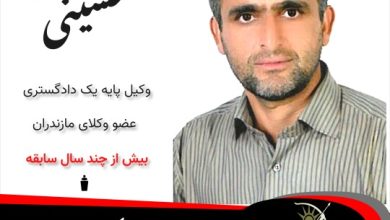 سیدحسن حسینی وکیل نور