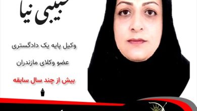 منصوره حبیبی نیا وکیل نور